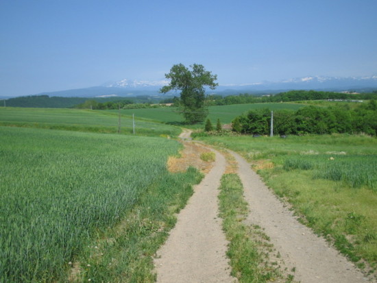 f:id:bousisensei:20100614135619j:image