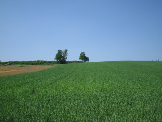f:id:bousisensei:20100614135707j:image
