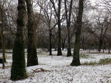 f:id:bousisensei:20120124125646j:image:w550