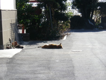 f:id:bousisensei:20120129132736j:image:w550
