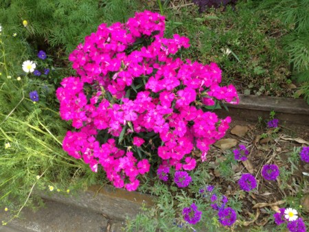 f:id:bousisensei:20120520095119j:image:w230