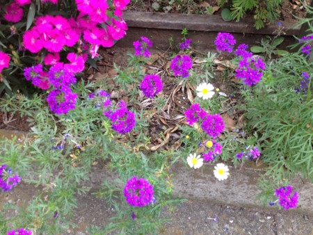 f:id:bousisensei:20120520095124j:image:w230