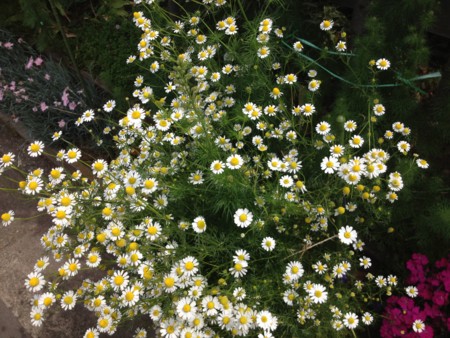 f:id:bousisensei:20120520095132j:image:w230