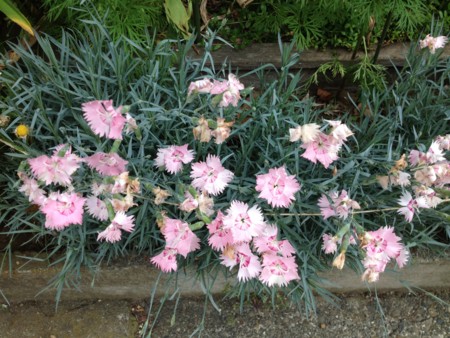 f:id:bousisensei:20120520095147j:image:w230