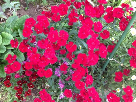 f:id:bousisensei:20120520095158j:image:w230