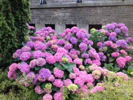 f:id:bousisensei:20120708004313j:image:w640