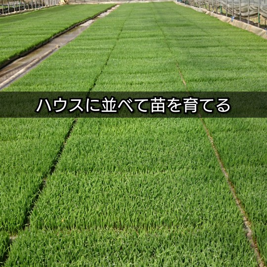 f:id:bousoukobito:20190606192803j:plain f:id:bousoukobito:20190606192803j:plain