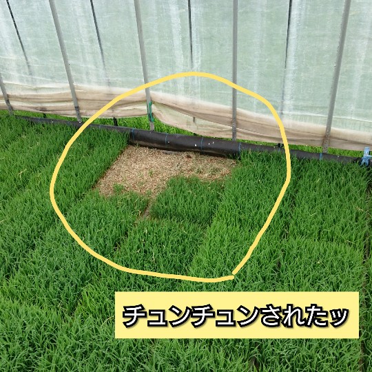 f:id:bousoukobito:20190607213015j:plain f:id:bousoukobito:20190607213015j:plain