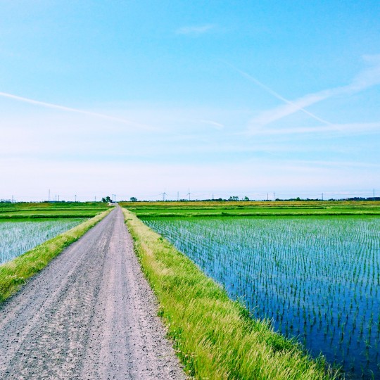 f:id:bousoukobito:20190610042958j:plain f:id:bousoukobito:20190610042958j:plain