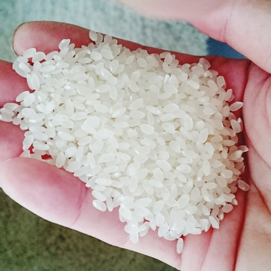 f:id:bousoukobito:20190612053325j:plain f:id:bousoukobito:20190612053325j:plain