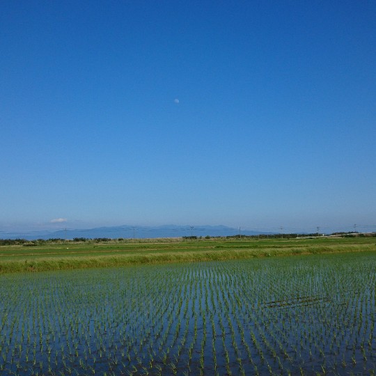 f:id:bousoukobito:20190614045641j:plain f:id:bousoukobito:20190614045641j:plain