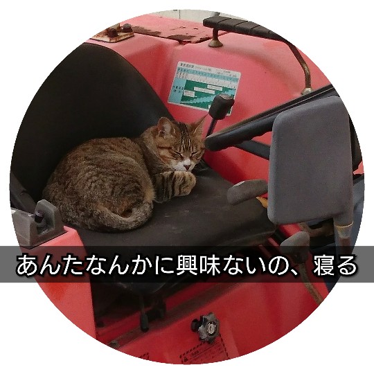 f:id:bousoukobito:20190614045938j:plain f:id:bousoukobito:20190614045938j:plain