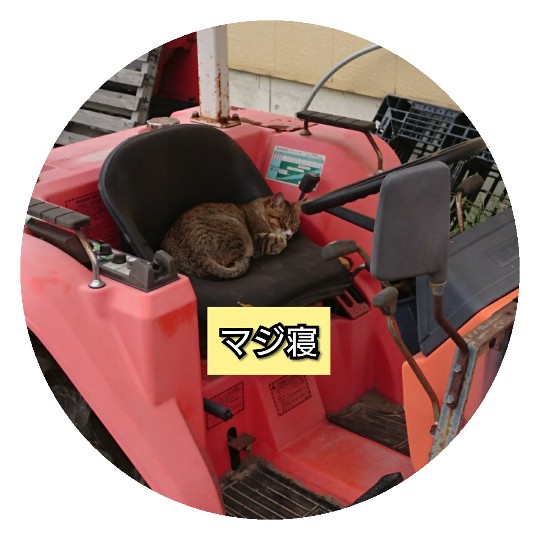 f:id:bousoukobito:20190614045950j:plain f:id:bousoukobito:20190614045950j:plain