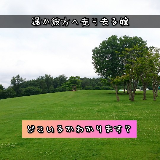 f:id:bousoukobito:20190709213300j:plain f:id:bousoukobito:20190709213300j:plain