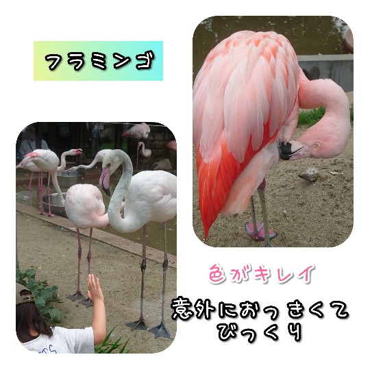 f:id:bousoukobito:20190714172649j:plain f:id:bousoukobito:20190714172649j:plain
