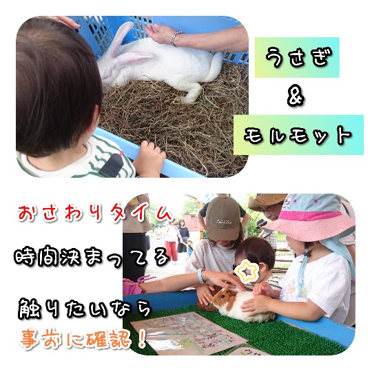 f:id:bousoukobito:20190714172735j:plain f:id:bousoukobito:20190714172735j:plain