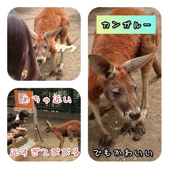 f:id:bousoukobito:20190714172827j:plain f:id:bousoukobito:20190714172827j:plain