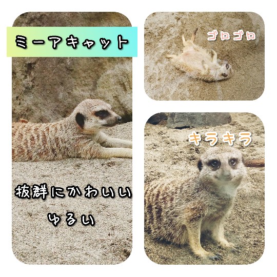 f:id:bousoukobito:20190714172844j:plain f:id:bousoukobito:20190714172844j:plain