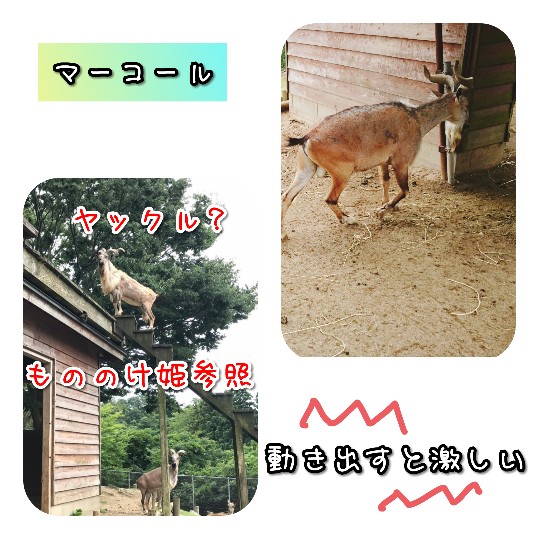 f:id:bousoukobito:20190714172900j:plain f:id:bousoukobito:20190714172900j:plain