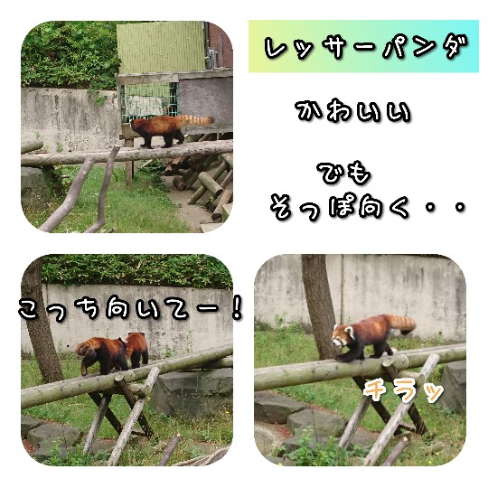 f:id:bousoukobito:20190714172913j:plain f:id:bousoukobito:20190714172913j:plain