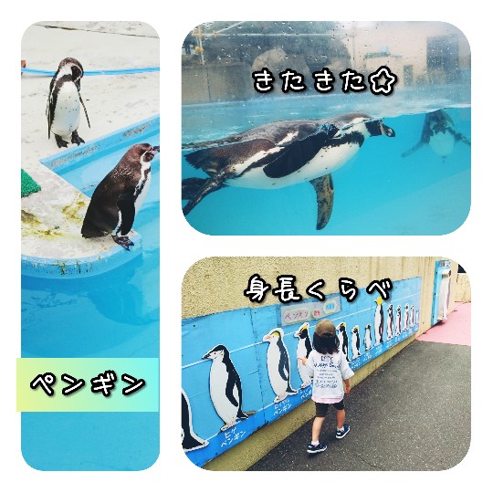 f:id:bousoukobito:20190714173002j:plain f:id:bousoukobito:20190714173002j:plain