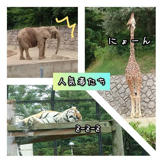 f:id:bousoukobito:20190714173016j:plain f:id:bousoukobito:20190714173016j:plain