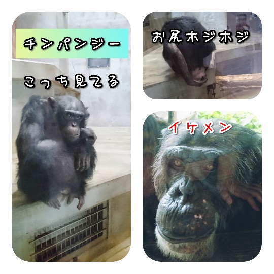 f:id:bousoukobito:20190714173027j:plain f:id:bousoukobito:20190714173027j:plain