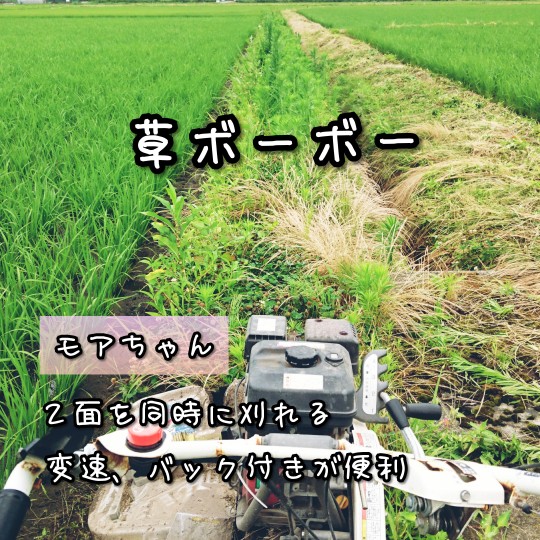 f:id:bousoukobito:20190715050741j:plain f:id:bousoukobito:20190715050741j:plain
