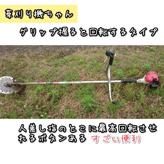 f:id:bousoukobito:20190715051812j:plain f:id:bousoukobito:20190715051812j:plain