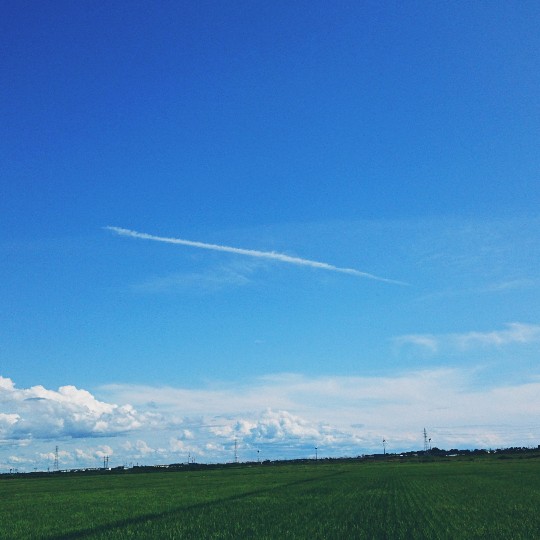 f:id:bousoukobito:20190720142946j:plain f:id:bousoukobito:20190720142946j:plain