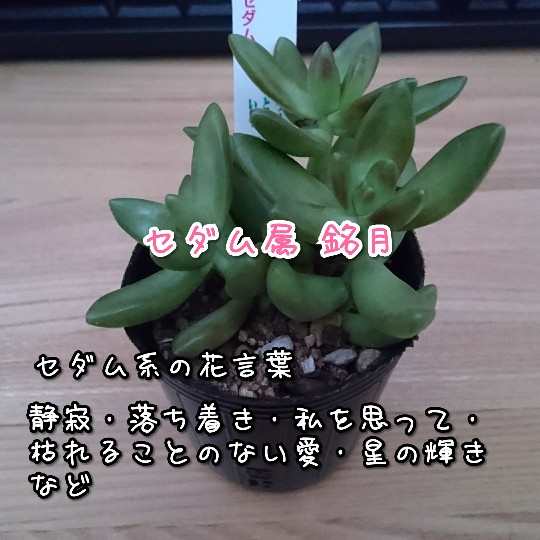 f:id:bousoukobito:20190722051204j:plain f:id:bousoukobito:20190722051204j:plain