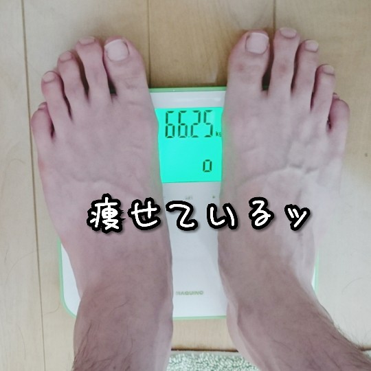 f:id:bousoukobito:20190724044623j:plain f:id:bousoukobito:20190724044623j:plain