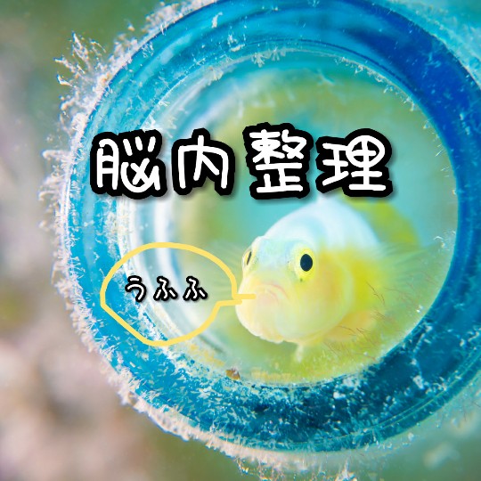 f:id:bousoukobito:20190729054706j:plain f:id:bousoukobito:20190729054706j:plain
