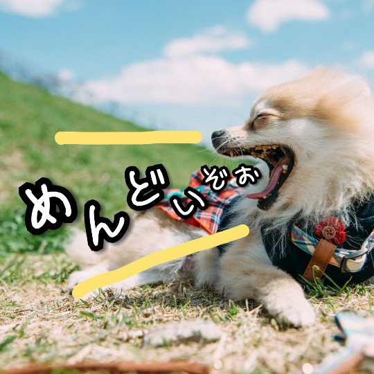 f:id:bousoukobito:20190803051450j:plain f:id:bousoukobito:20190803051450j:plain