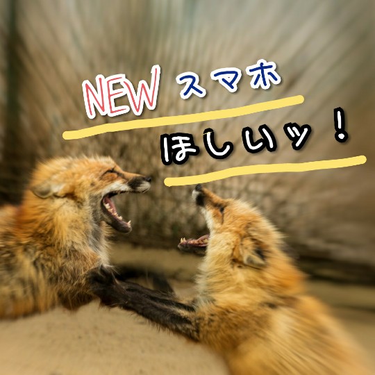 f:id:bousoukobito:20190806060903j:plain f:id:bousoukobito:20190806060903j:plain