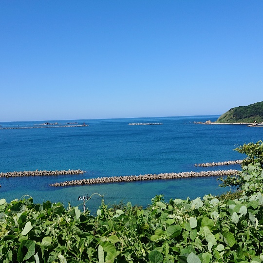 f:id:bousoukobito:20190816052942j:plain f:id:bousoukobito:20190816052942j:plain