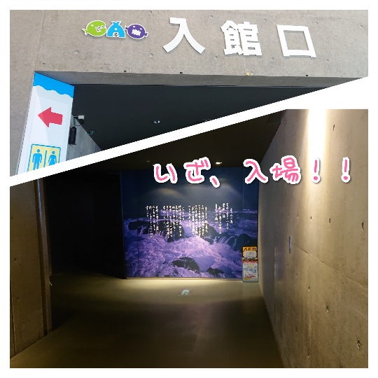 f:id:bousoukobito:20190816170930j:plain f:id:bousoukobito:20190816170930j:plain