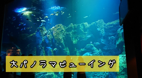 f:id:bousoukobito:20190816171609j:plain f:id:bousoukobito:20190816171609j:plain