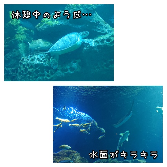 f:id:bousoukobito:20190816172055j:plain f:id:bousoukobito:20190816172055j:plain