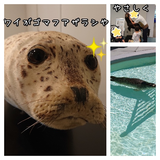 f:id:bousoukobito:20190816173207j:plain f:id:bousoukobito:20190816173207j:plain