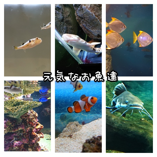 f:id:bousoukobito:20190816174253j:plain f:id:bousoukobito:20190816174253j:plain