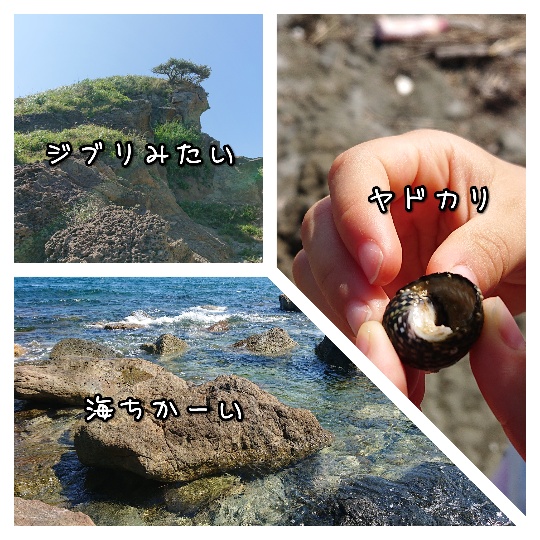 f:id:bousoukobito:20190816182824j:plain f:id:bousoukobito:20190816182824j:plain