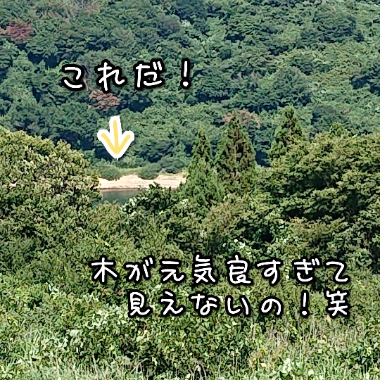 f:id:bousoukobito:20190817190542j:plain f:id:bousoukobito:20190817190542j:plain