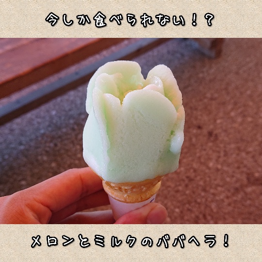 f:id:bousoukobito:20190817203308j:plain f:id:bousoukobito:20190817203308j:plain