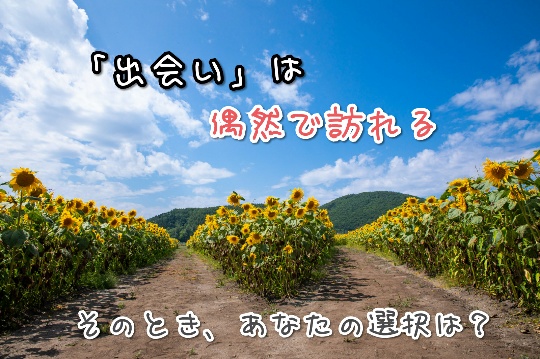 f:id:bousoukobito:20190924093622j:plain f:id:bousoukobito:20190924093622j:plain