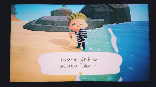 あつ森 たぬき おめぇに借金はしねぇ ローンにサヨナラを告げる 右肩上がり