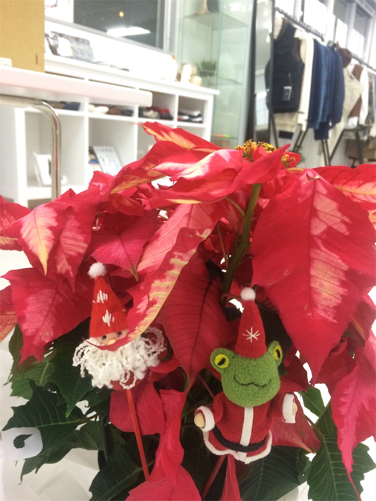 f:id:boutiquecatwalk:20161121205429j:image f:id:boutiquecatwalk:20161121205429j:image