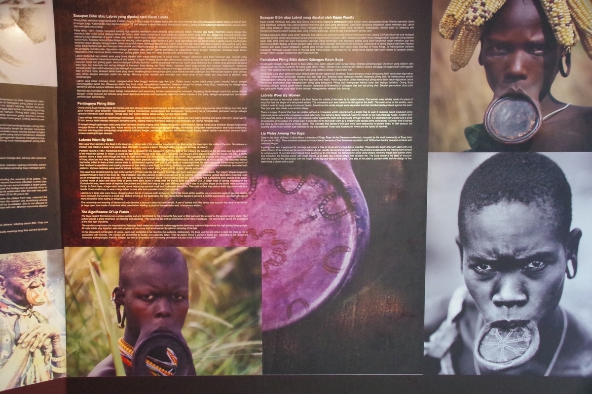 f:id:bowmore2011:20190526125148j:plain