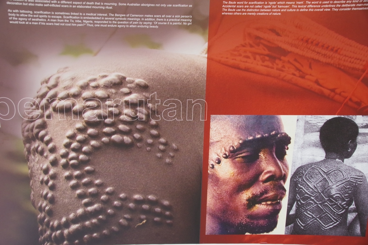 f:id:bowmore2011:20190526130023j:plain