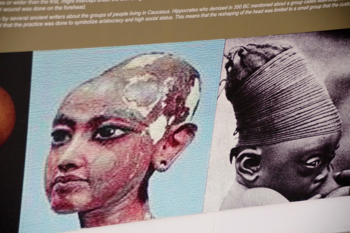 f:id:bowmore2011:20190526131455j:plain